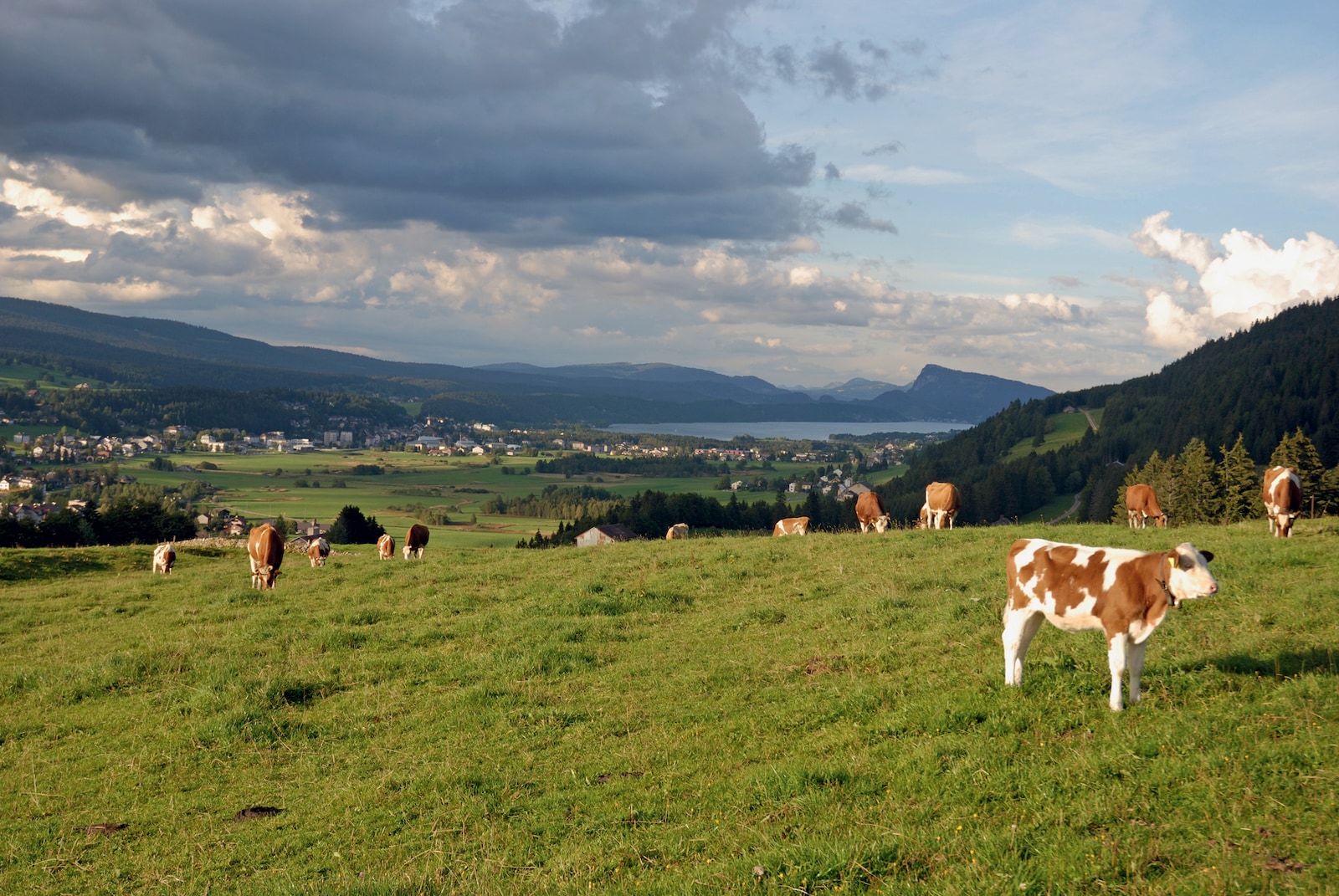 Breguet la Vallée de Joux